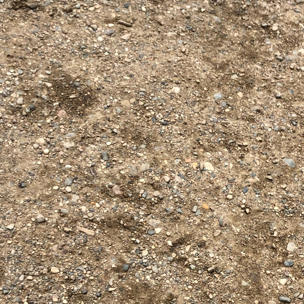 Meet your Posher, Barbara